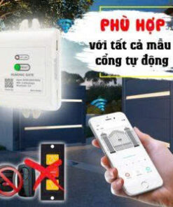 z6647702781272 8588bc2cc492144a28f5ebffb3363943