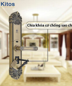 z6687437002584 6679d0396241554282dd0556cf9e1651