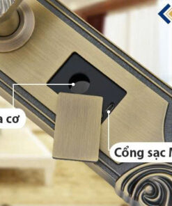 z6687438631715 8b8228d39574f296e594643d4ccb622a